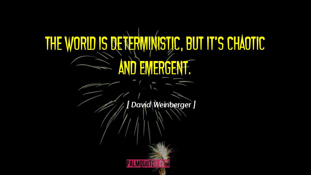 An Emergent Manifesto Of Hope quotes by David Weinberger
