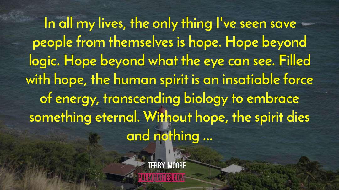 An Emergent Manifesto Of Hope quotes by Terry Moore