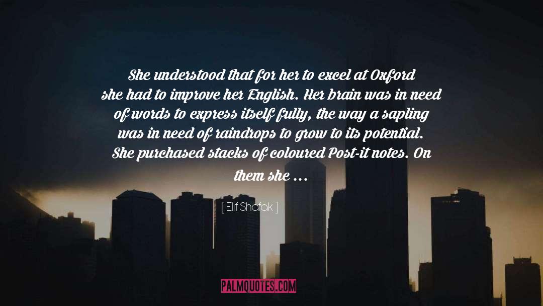 An Essay On Ego quotes by Elif Shafak