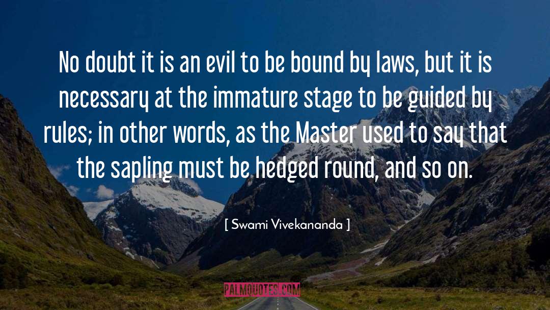 An Evil Cradling quotes by Swami Vivekananda