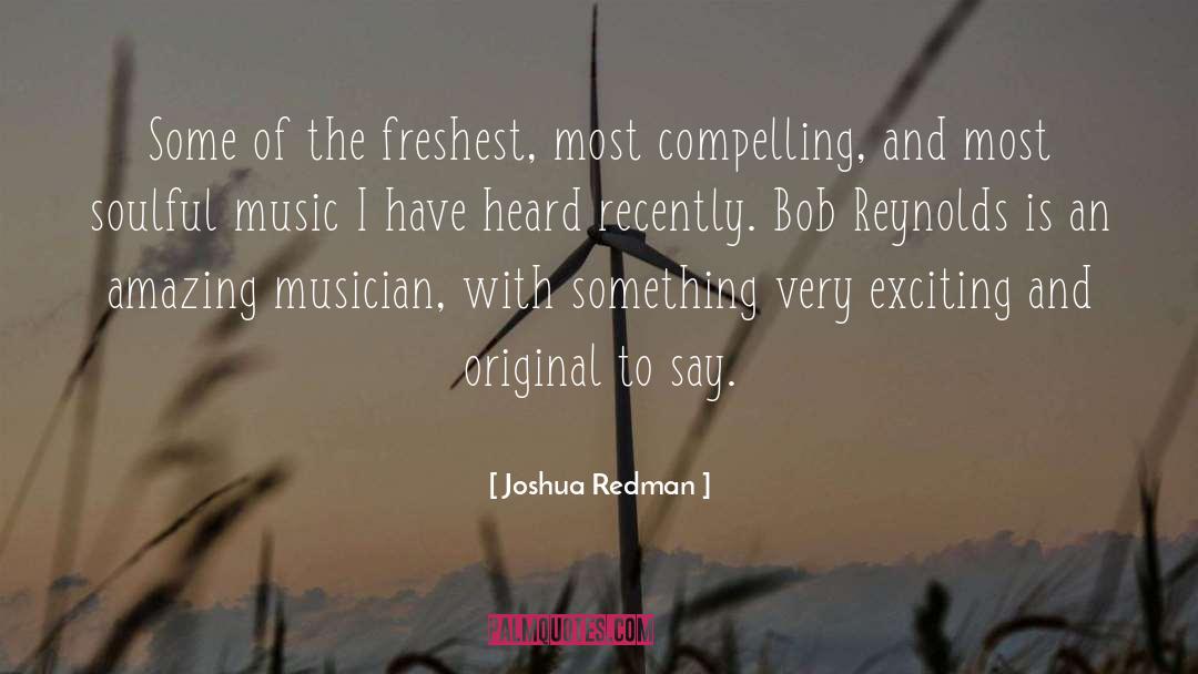 An Exciting Future quotes by Joshua Redman