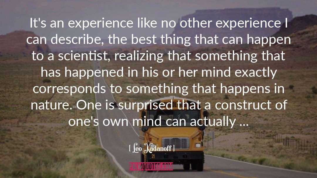 An Experience quotes by Leo Kadanoff