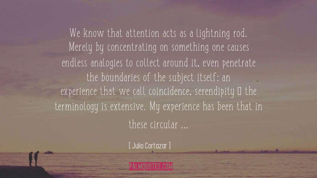 An Experience quotes by Julio Cortazar