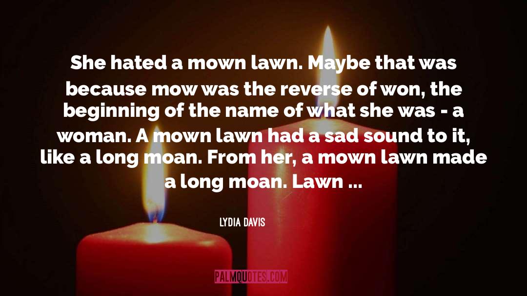 An Nam quotes by Lydia Davis