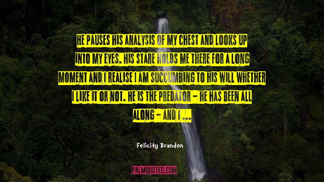 An Unexpected Journey quotes by Felicity Brandon