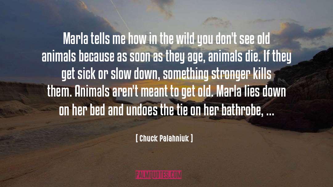 An Unnatural Arrangement quotes by Chuck Palahniuk
