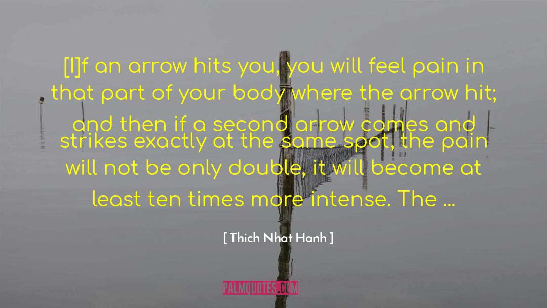 An Unwelcome Guest quotes by Thich Nhat Hanh