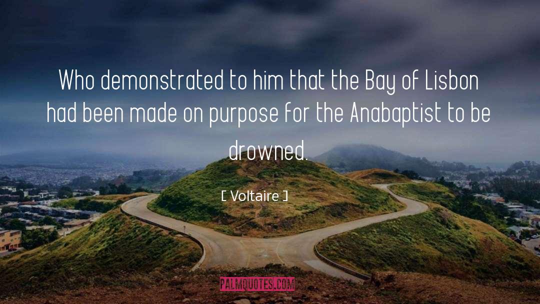 Anabaptist quotes by Voltaire