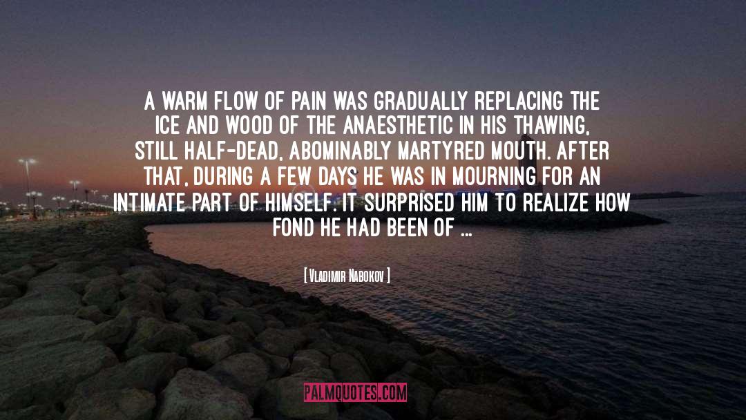 Anaesthetic quotes by Vladimir Nabokov
