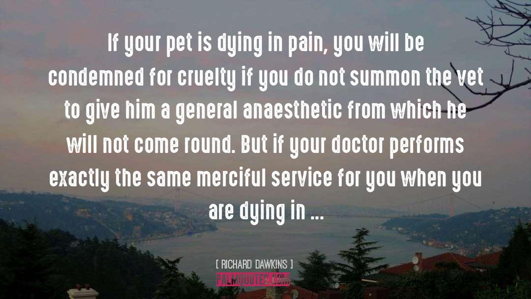 Anaesthetic quotes by Richard Dawkins