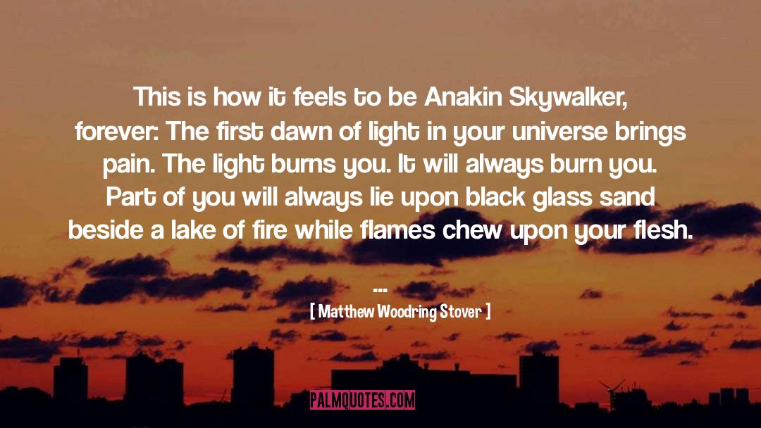 Anakin Skywalker quotes by Matthew Woodring Stover