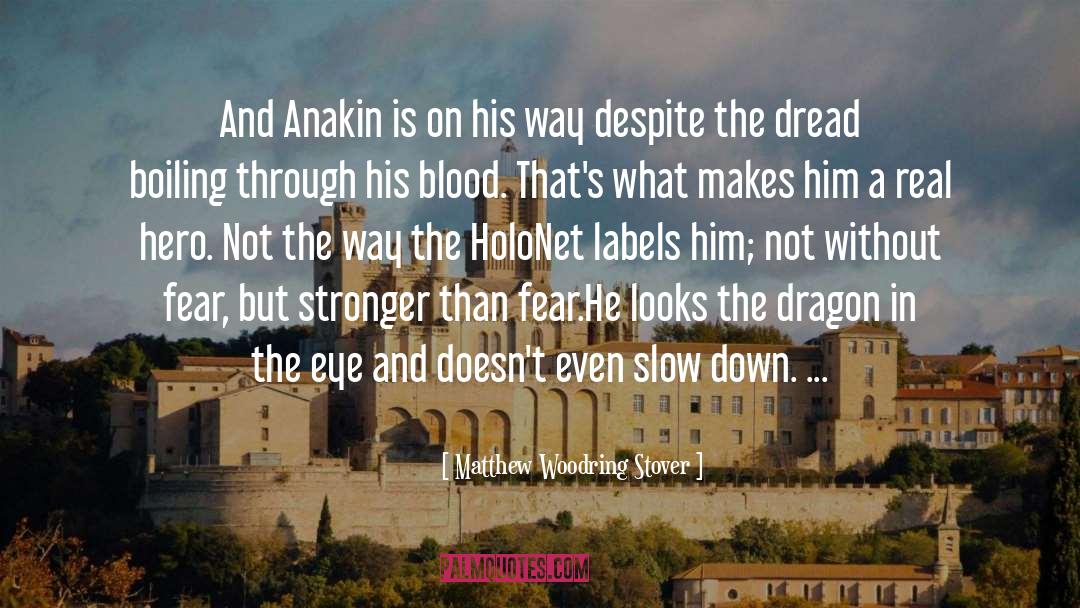 Anakin Skywalker quotes by Matthew Woodring Stover