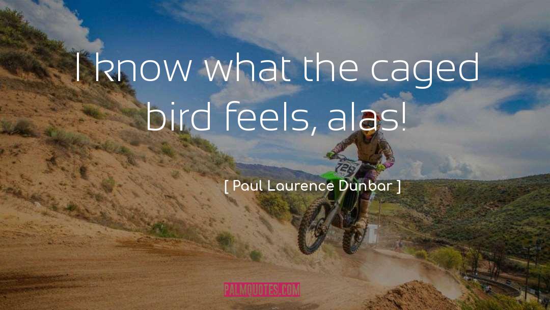 Analisar Caged quotes by Paul Laurence Dunbar