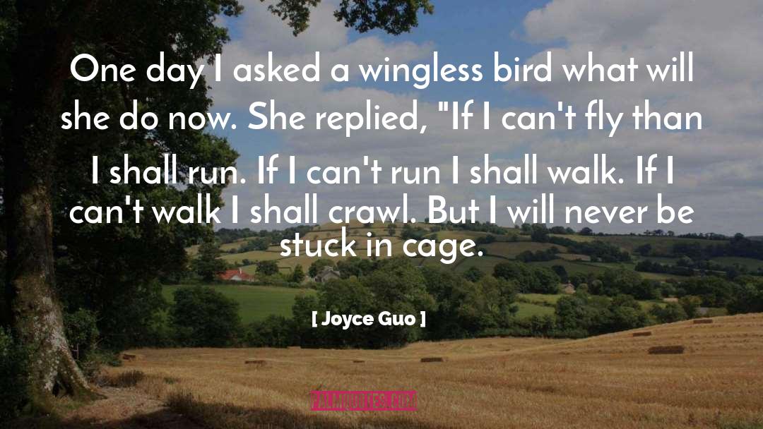 Analisar Caged quotes by Joyce Guo