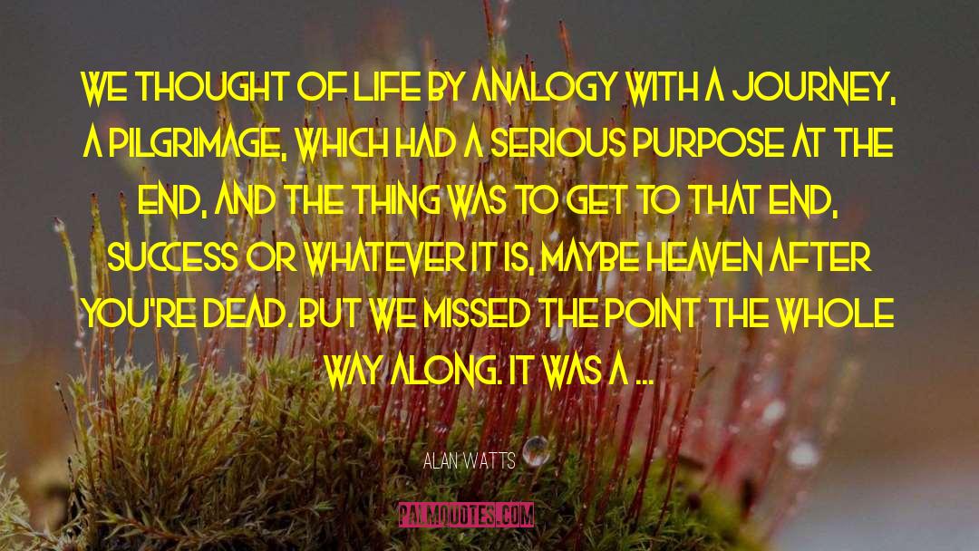 Analogies quotes by Alan Watts