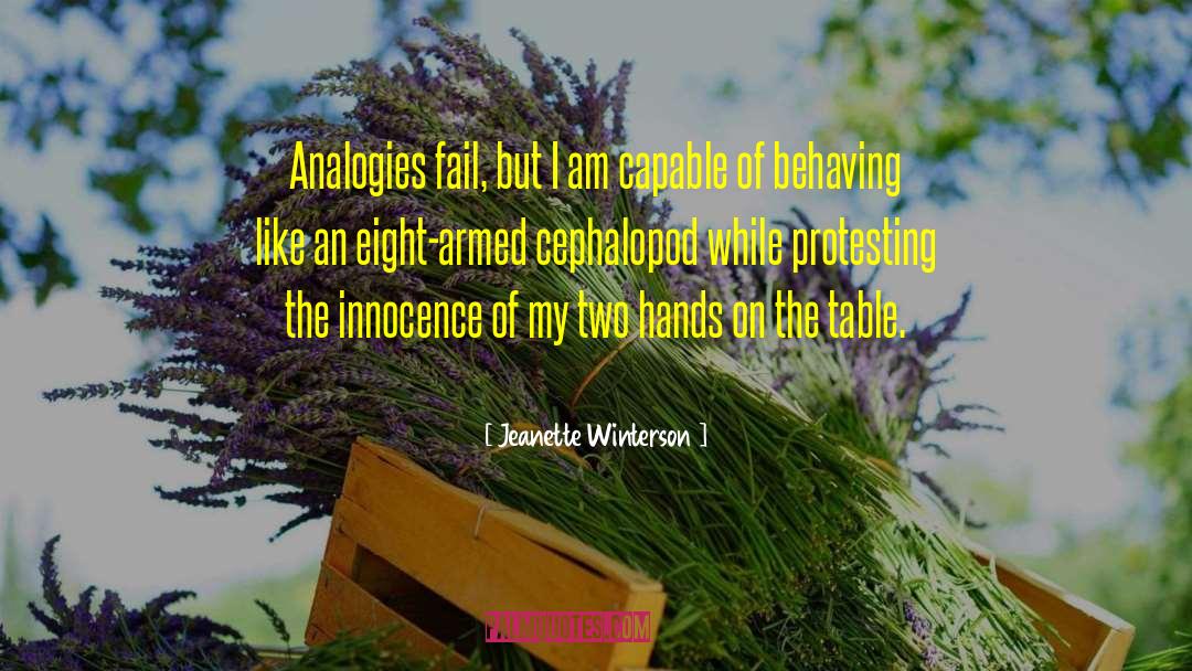 Analogies quotes by Jeanette Winterson