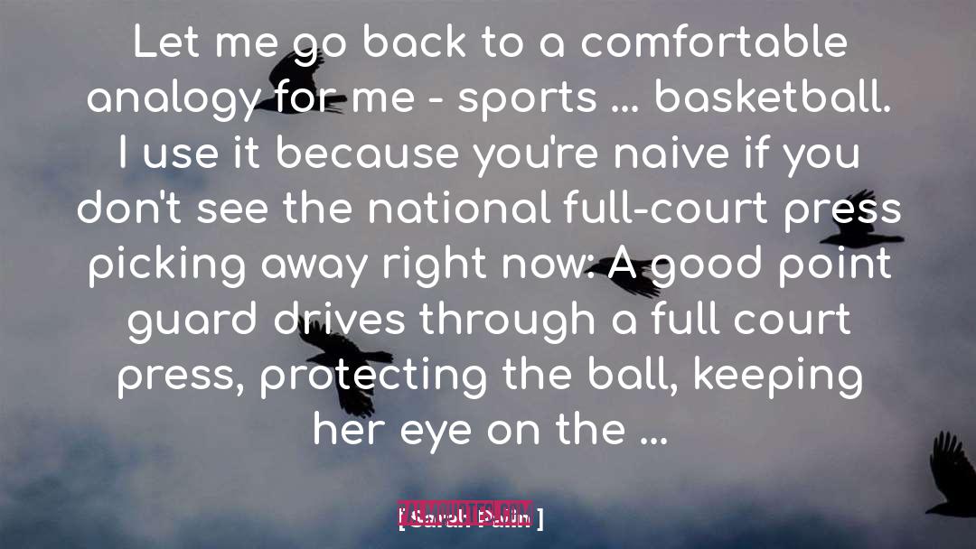 Analogy quotes by Sarah Palin