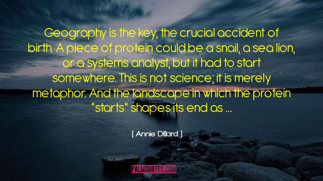 Analyst quotes by Annie Dillard