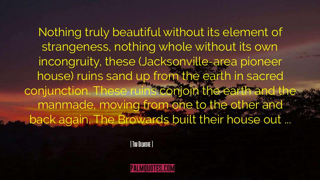 Analytique Architecture quotes by Tim Gilmore