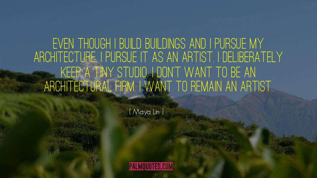 Analytique Architecture quotes by Maya Lin