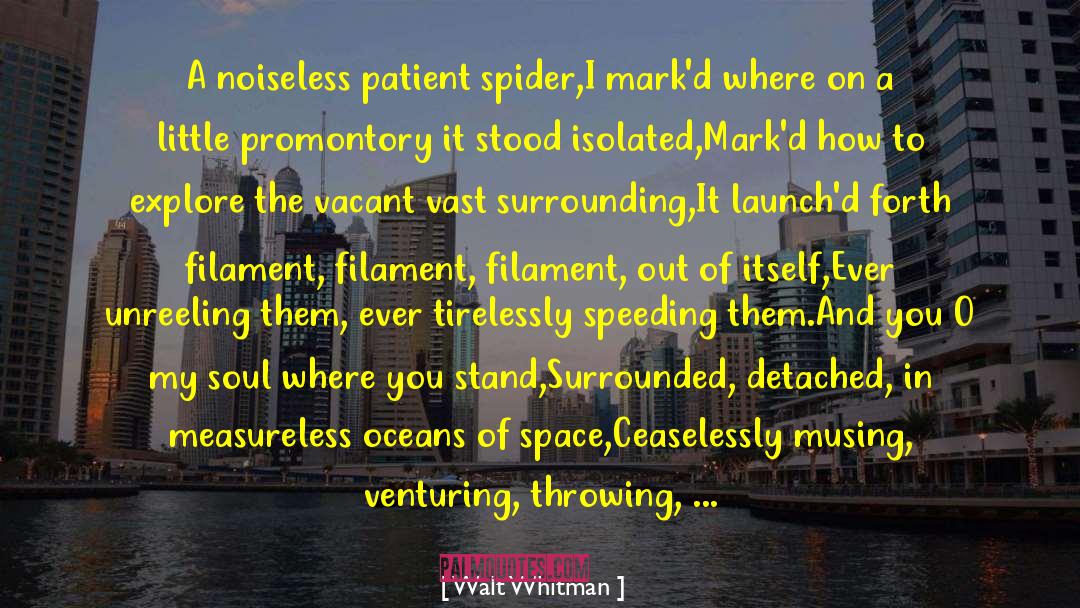 Anansi The Spider quotes by Walt Whitman