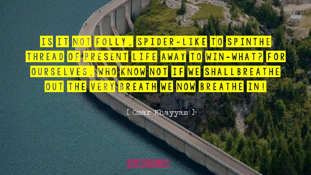 Anansi The Spider quotes by Omar Khayyam