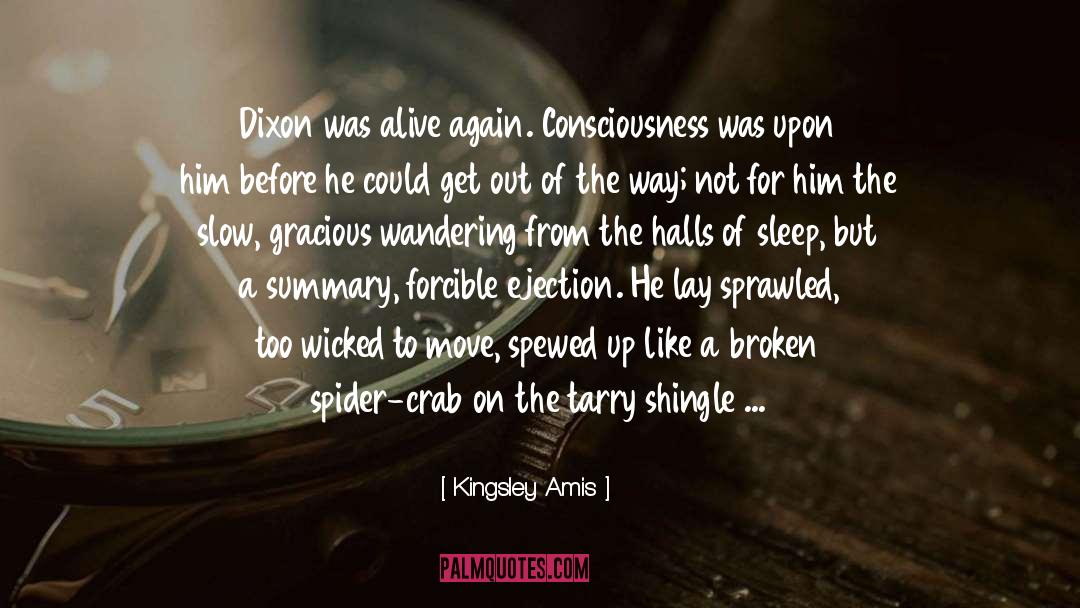 Anansi The Spider quotes by Kingsley Amis