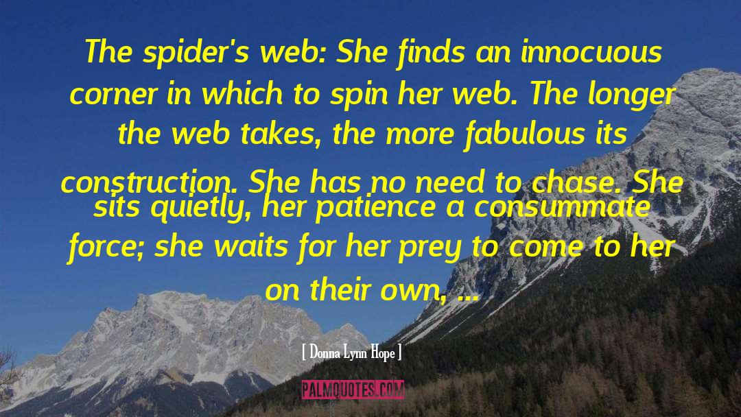 Anansi The Spider quotes by Donna Lynn Hope
