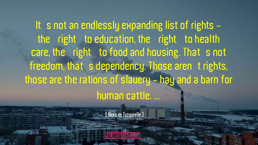 Anarcho Capitalism quotes by Alexis De Tocqueville