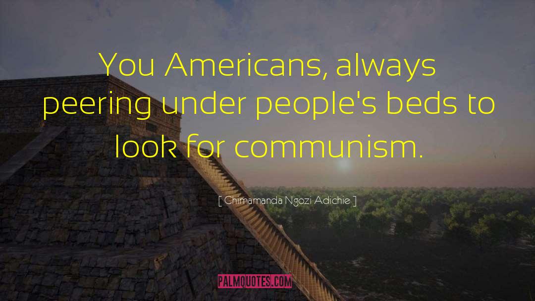 Anarcho Communism quotes by Chimamanda Ngozi Adichie