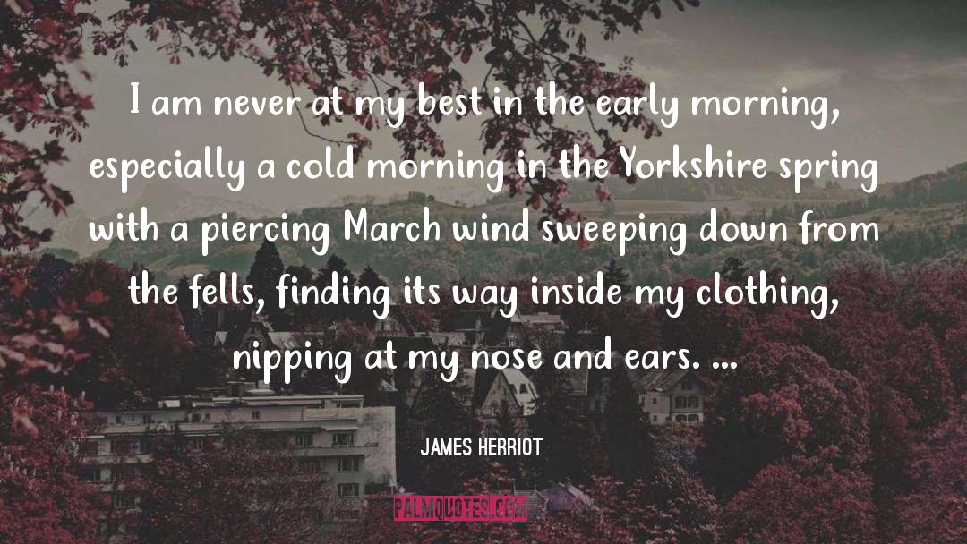 Anatomies Clothing quotes by James Herriot