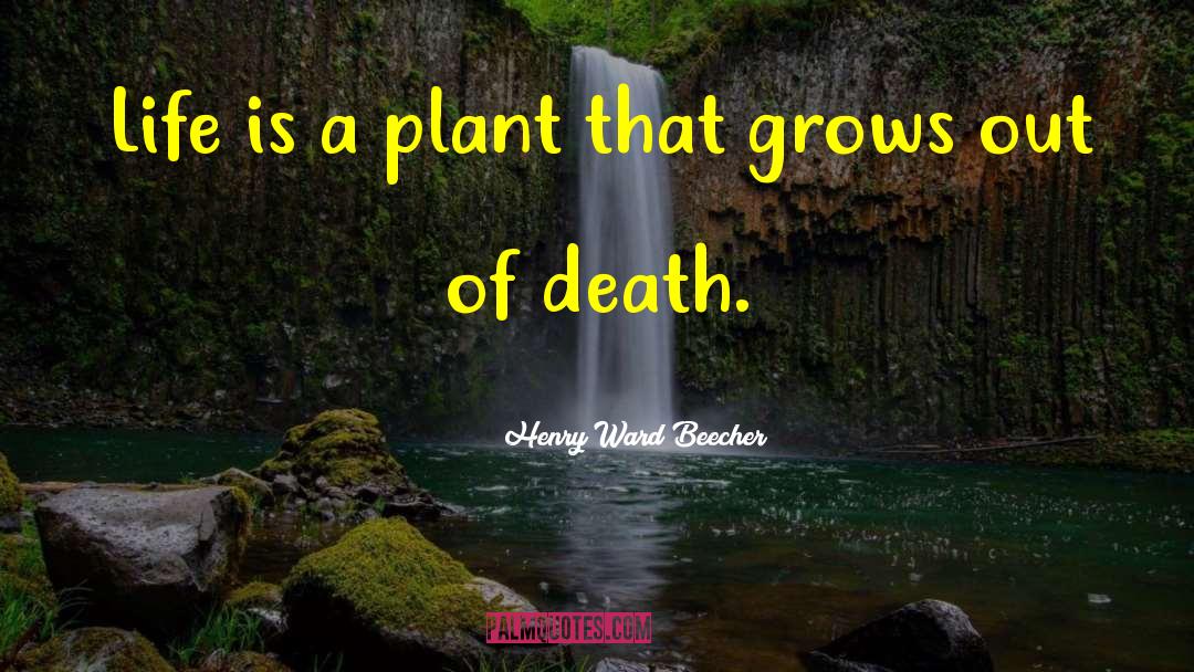 Anatomies Plant quotes by Henry Ward Beecher