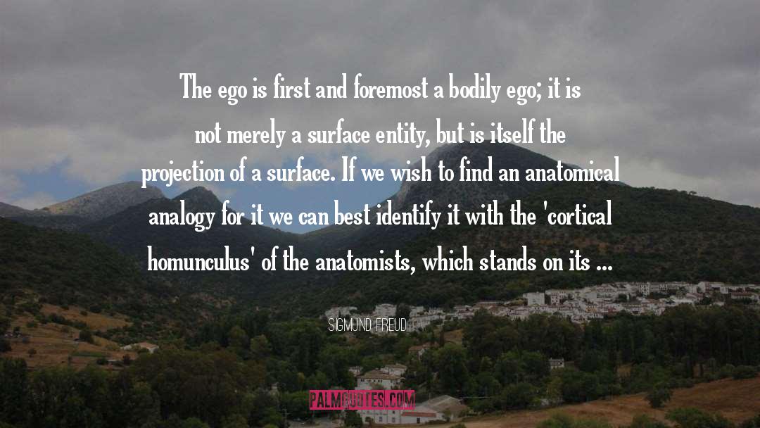 Anatomists quotes by Sigmund Freud