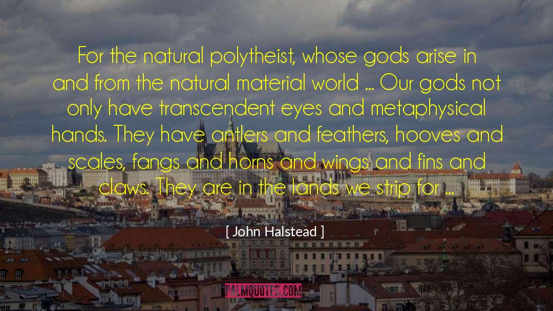 Anatomy Of A Murder quotes by John Halstead