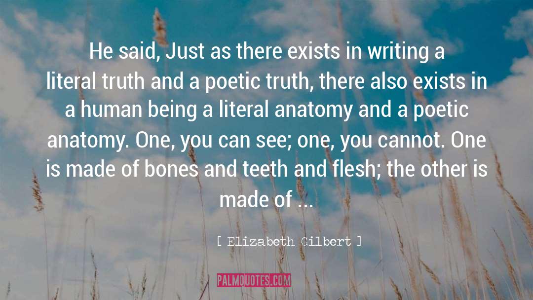 Anatomy quotes by Elizabeth Gilbert