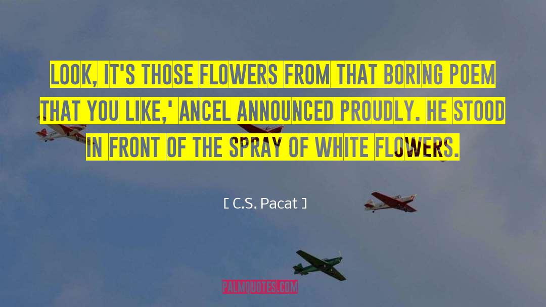 Ancel quotes by C.S. Pacat