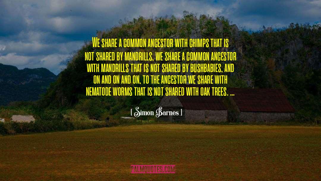 Ancestor quotes by Simon Barnes