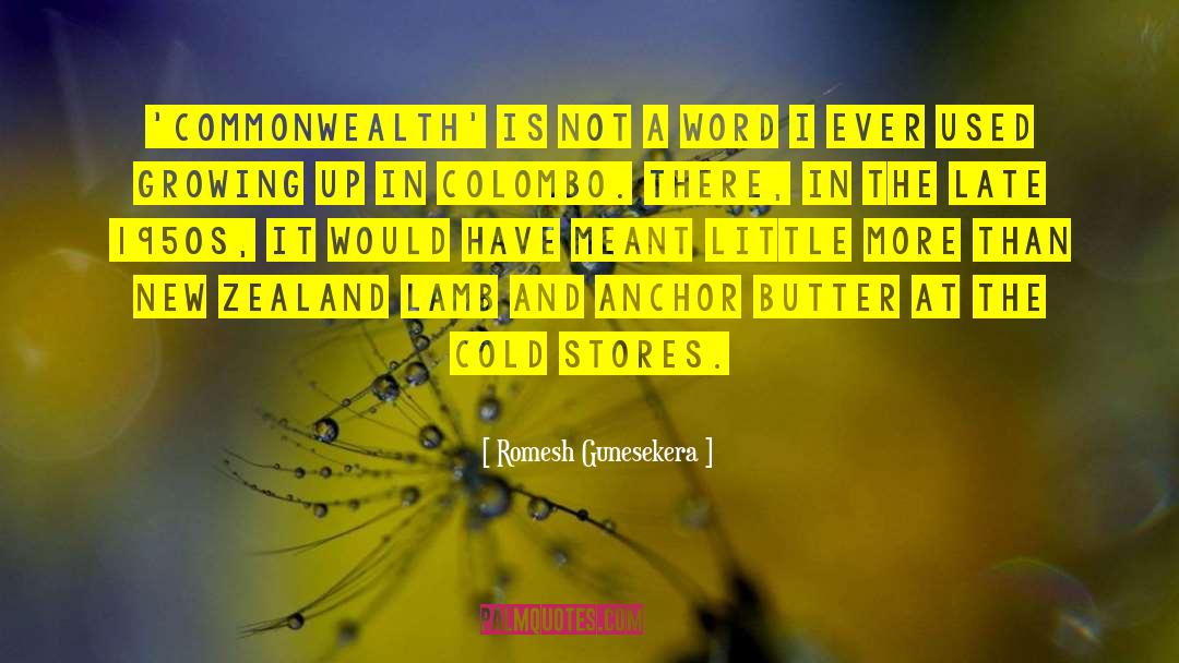 Anchor quotes by Romesh Gunesekera