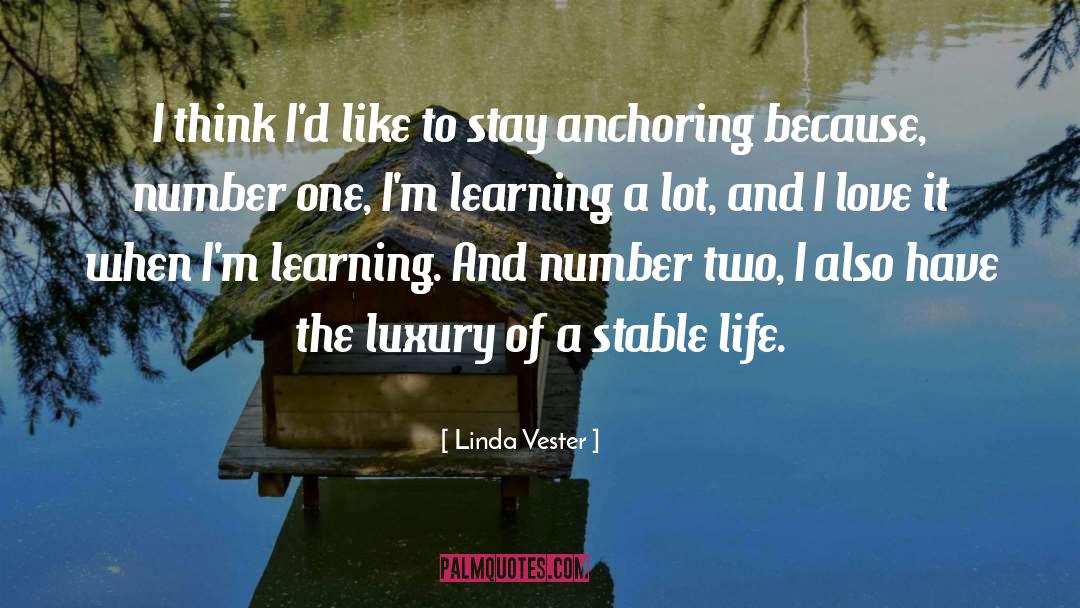 Anchoring quotes by Linda Vester