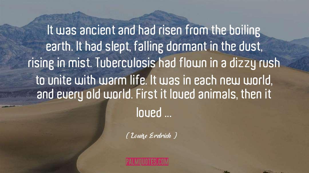 Ancient Civilization quotes by Louise Erdrich