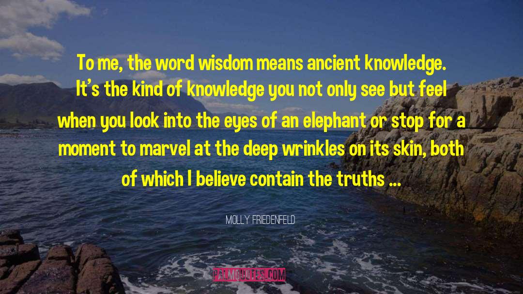 Ancient Knowledge quotes by Molly Friedenfeld