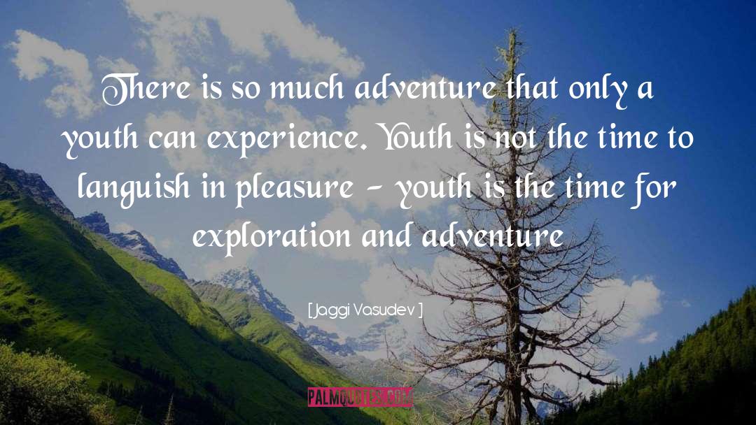 And Adventure quotes by Jaggi Vasudev