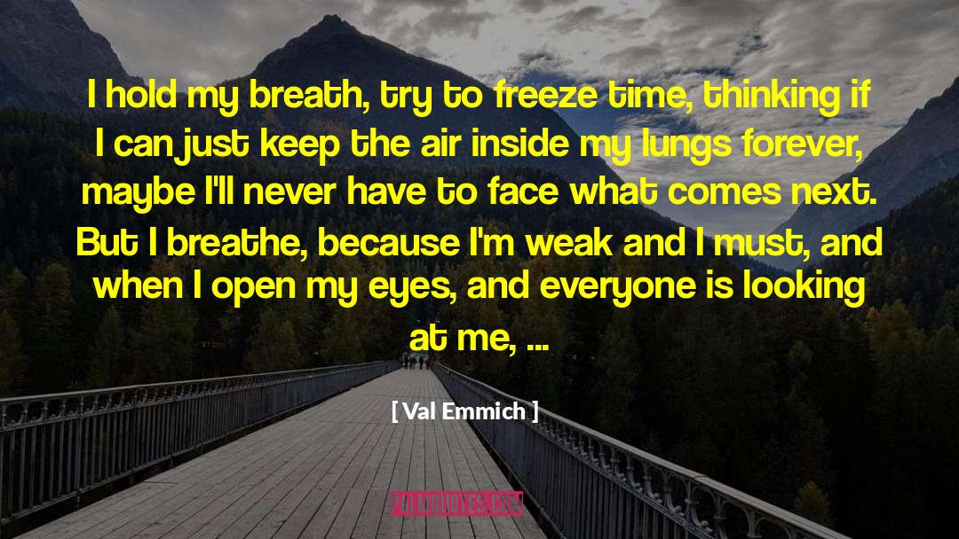 And At The End Of The Day quotes by Val Emmich