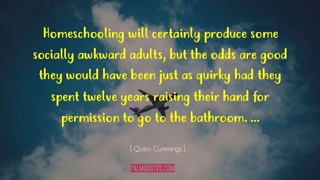 And Homeschooling quotes by Quinn Cummings