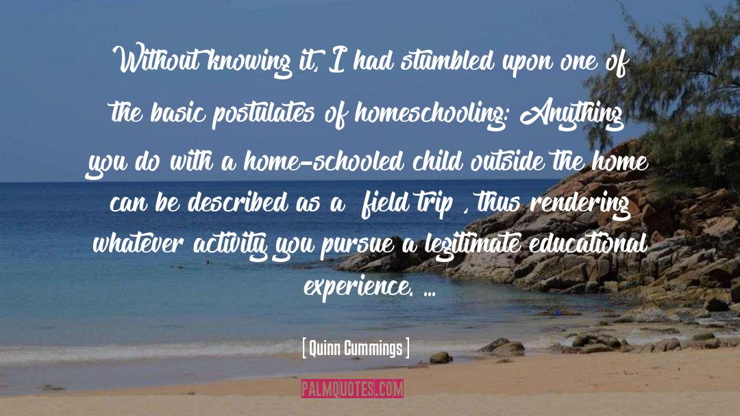 And Homeschooling quotes by Quinn Cummings
