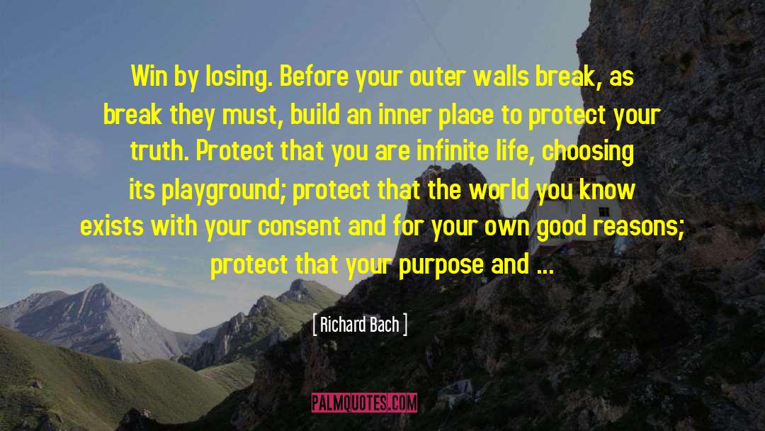 And Mission quotes by Richard Bach