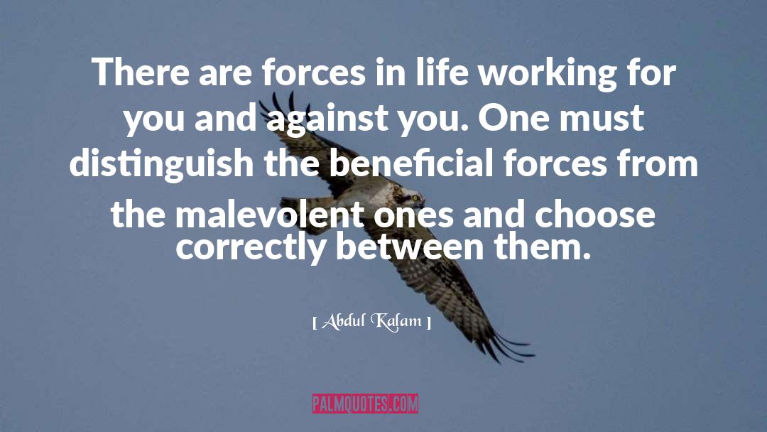 And The Malevolent Twin quotes by Abdul Kalam