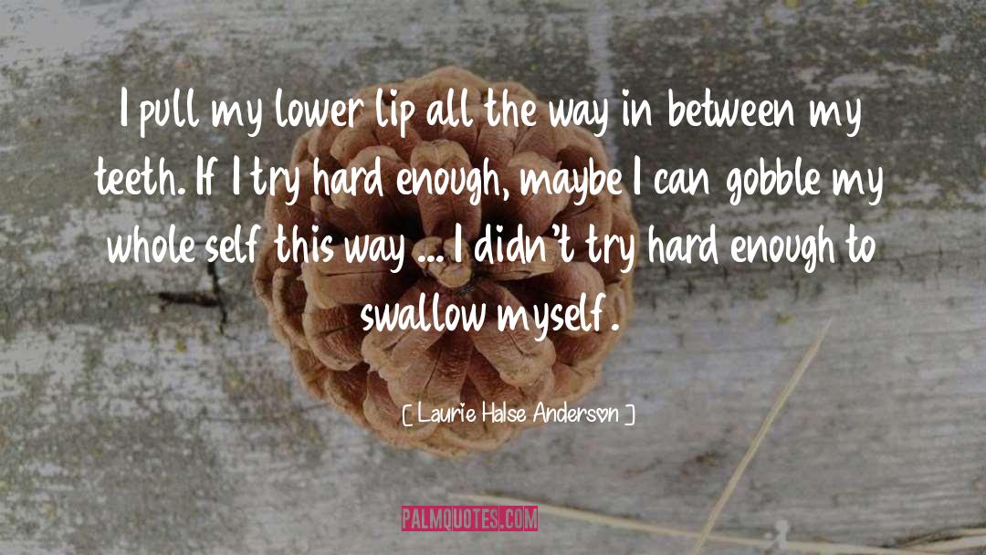 Anderson Shelters quotes by Laurie Halse Anderson