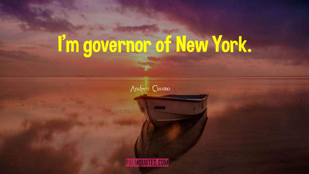 Andrew Minyard quotes by Andrew Cuomo