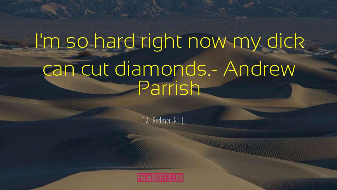Andrew Parrish quotes by J.A. Redmerski